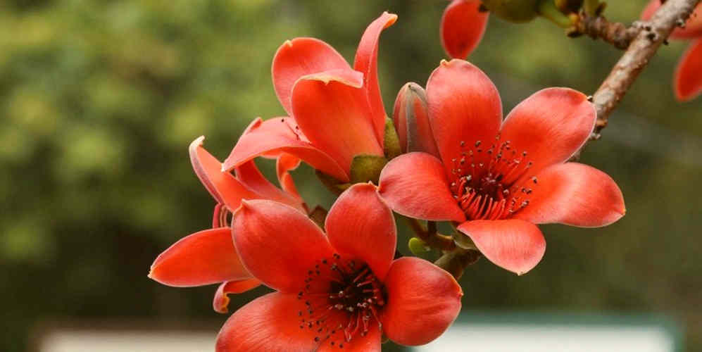 ভোর সোয়া একটার ম্যারাথন: ভিপিআইএম ২০২৬-এর 'রেকর্ড' কাগজে আছে, স্প্লিটে নেই